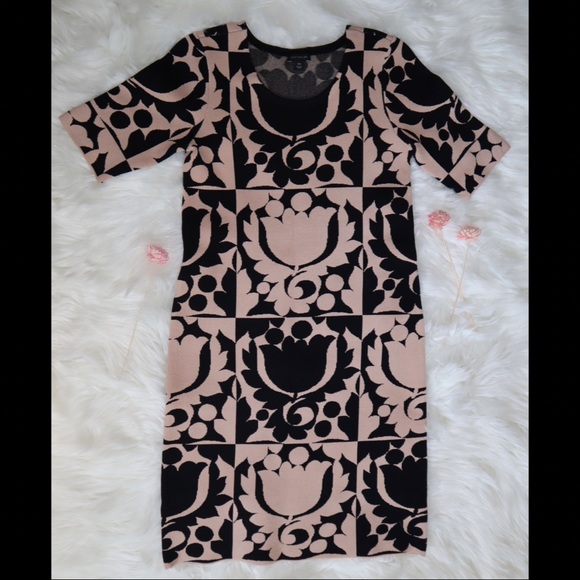 Ann Taylor Black & Cream Shift Sweater Dress - Picture 5 of 12